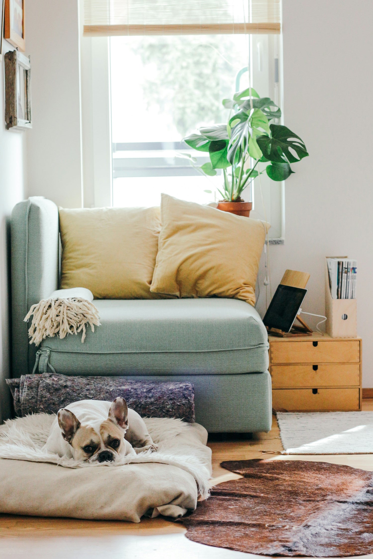 Home essentials